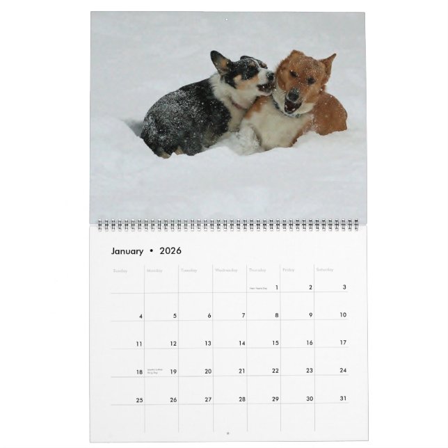 Calendario Corgis en camino 2014 (Jan 2026)