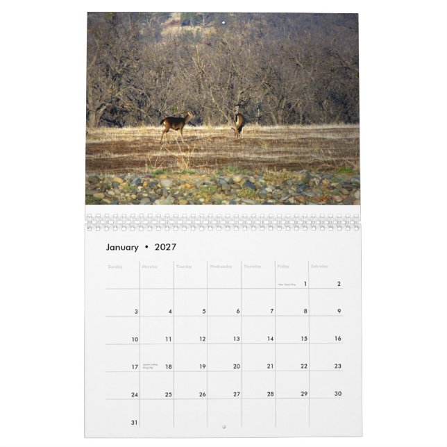 Calendario Cosa salvaje 2014 (Jan 2027)