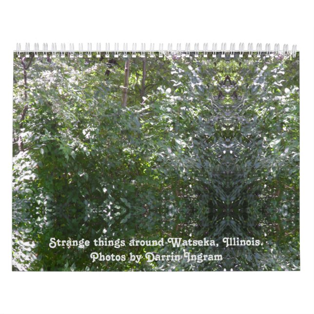 Calendario Cosas extrañas en Watseka, Illinois (Tapa)