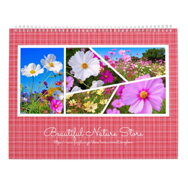 Calendario Cosmos (Reverso)