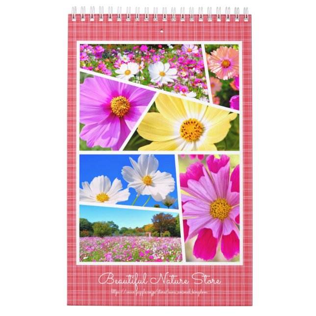 Calendario Cosmos カ レ ダ・ (Reverso)