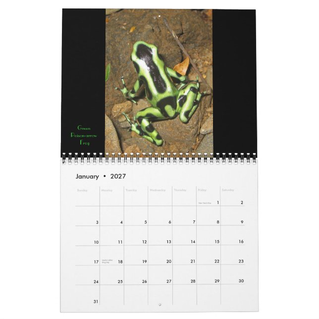 Calendario Costa Rica 2011 (Jan 2027)