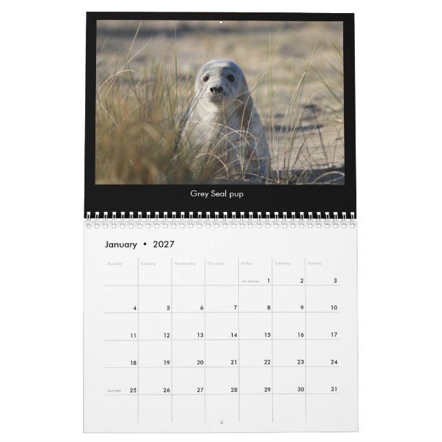 Calendario costero 2018 de la fauna de Norfolk (Jan 2027)