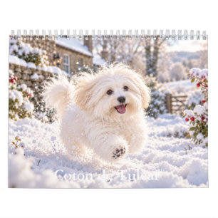 Calendario Coton de Tulear