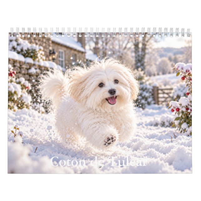 Calendario Coton de Tulear (Tapa)