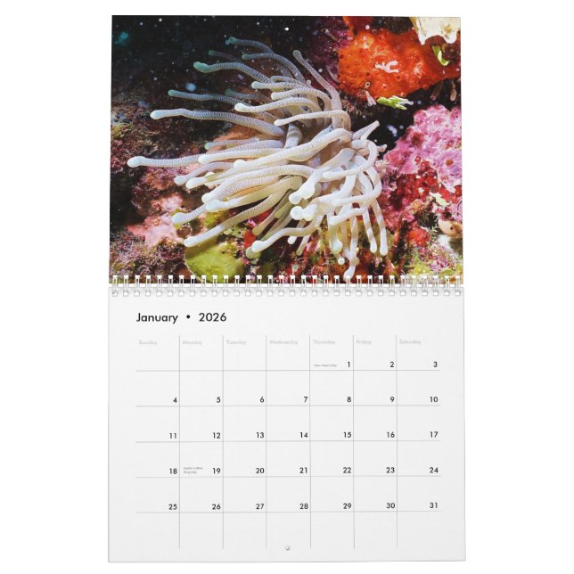 Calendario Cozumel 2011 subacuático (Jan 2026)