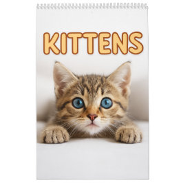 Calendario Cozy Cat Photography | Pared de gato de gatito lin