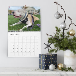 Calendario Crear Recuerdos de perro personalizados