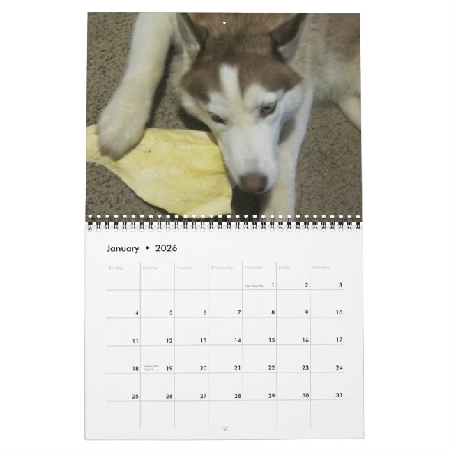 Calendario Cría husky siberiano (Jan 2026)
