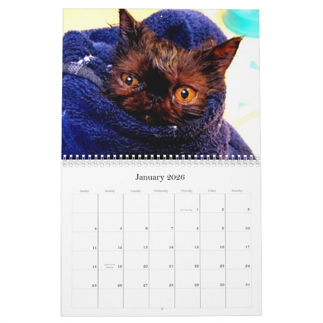 Calendario criado en línea pura del rescate de la (Jan 2026)