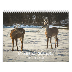 Calendario Criaturas del bosque Naturaleza