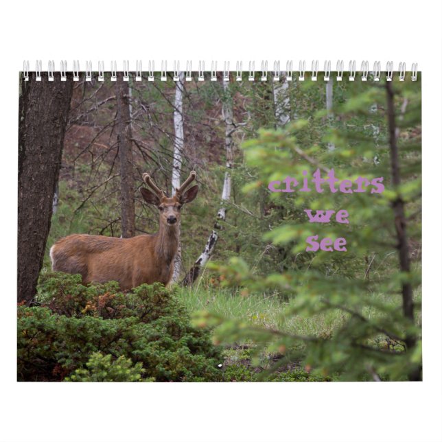 Calendario Críticos que vemos  (Tapa)