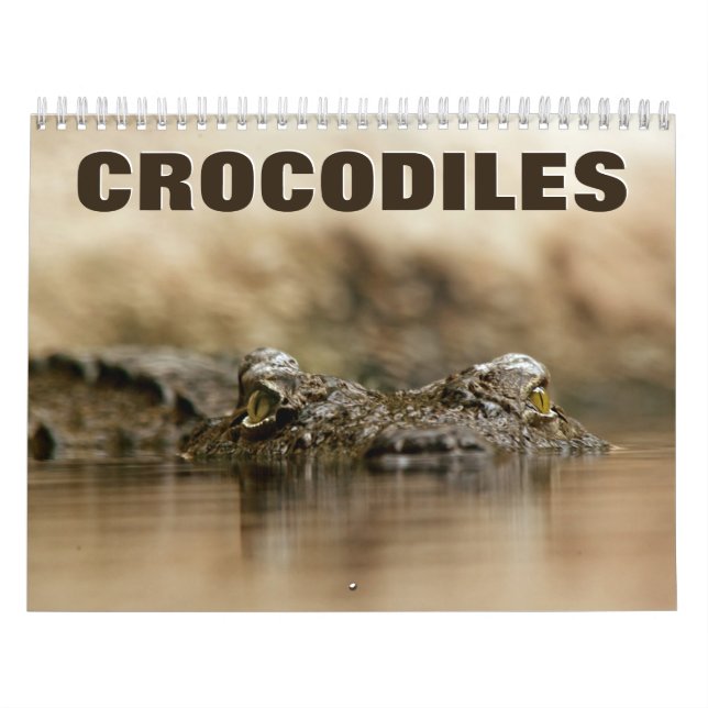 Calendario Crocodiles Wall Calendar (Tapa)