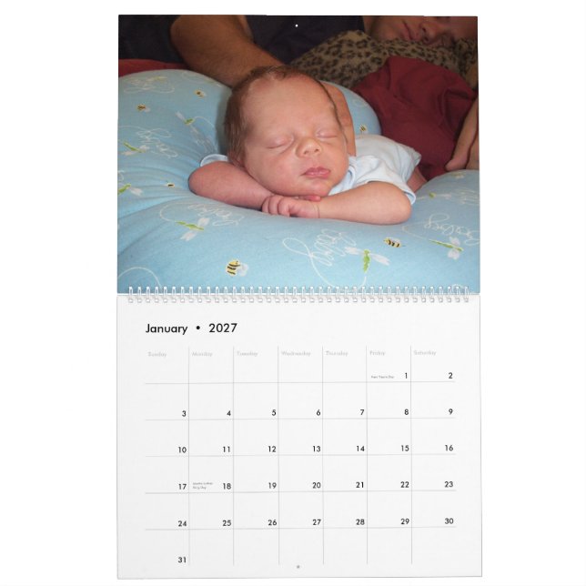 Calendario cubierta, un año de peluche (Jan 2027)