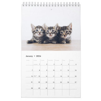 Calendario Cuesta Crear su propia foto de Mascota de gato