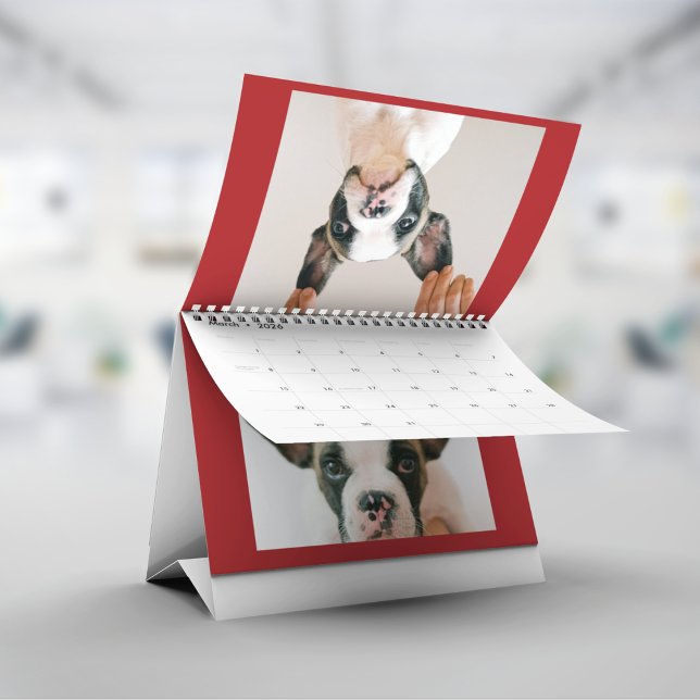 Calendario Custom Red Pet Photo  (Subido por el creador)