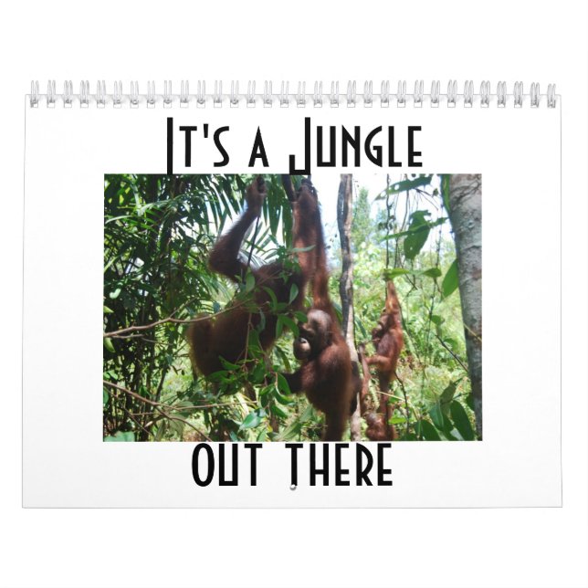 Calendario Cute Animal Photography Orangutan Calendar (Tapa)