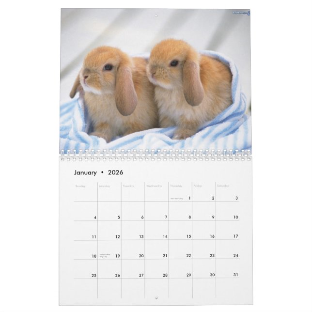 Calendario Cute Bunnies (Jan 2026)