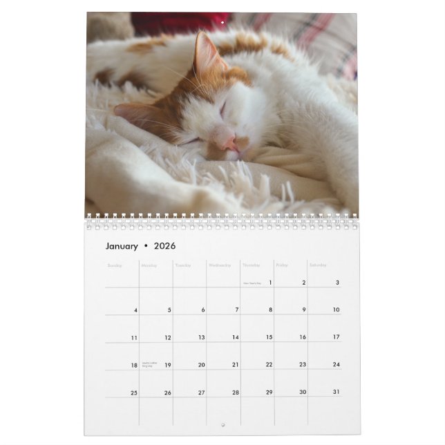 Calendario Cute Cat & Kitten 2023 (Jan 2026)