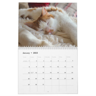 Calendario Cute Cat & Kitten 2023