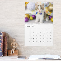 Cute Cat Photo Es La Vida De Un Gato 2026