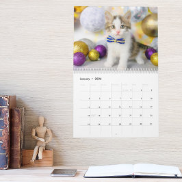 Calendario Cute Cat Photo It’s A Cat’s Life 2026