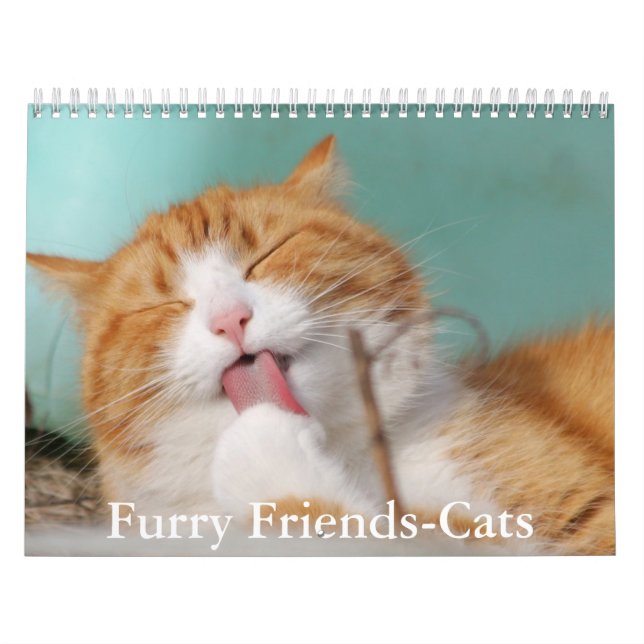 Calendario Cute Furry Friends Cat Calendar (Tapa)