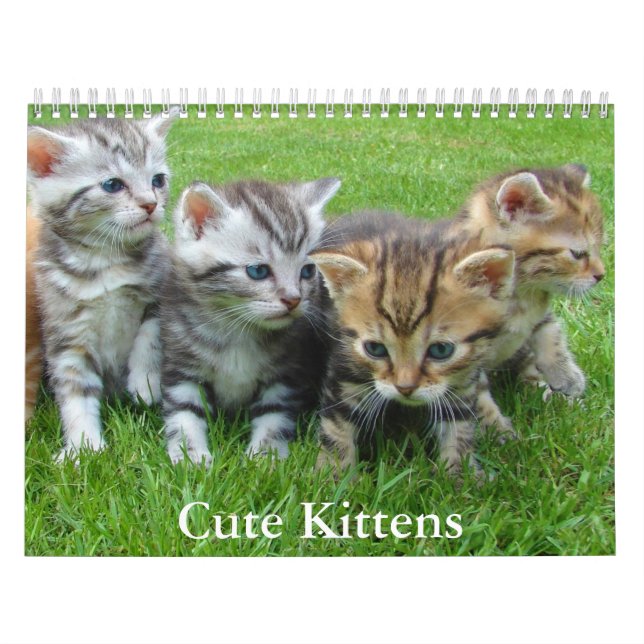 Calendario Cute Kitten Calendar (Tapa)