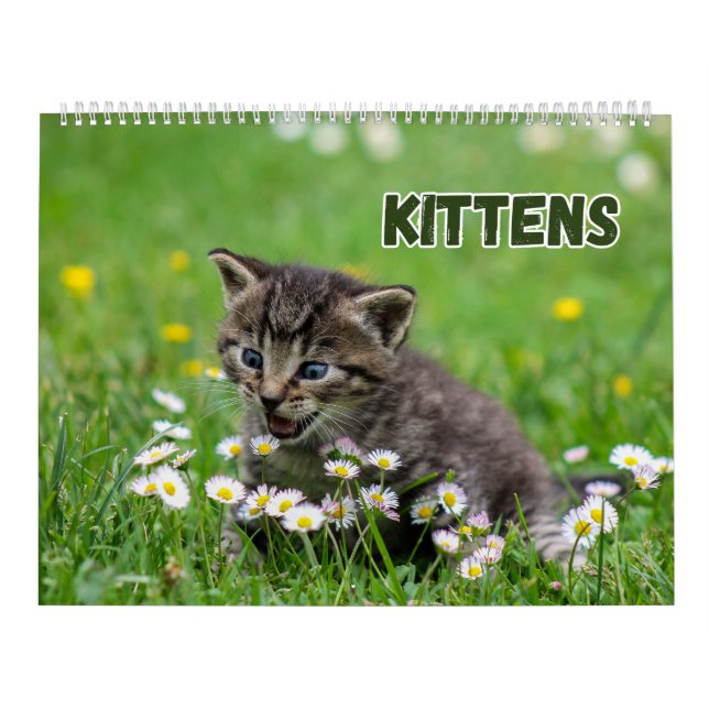 Calendario Cute Kittens (Tapa)