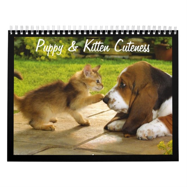 Calendario Cute Puppies and Kittens 2018 (Tapa)
