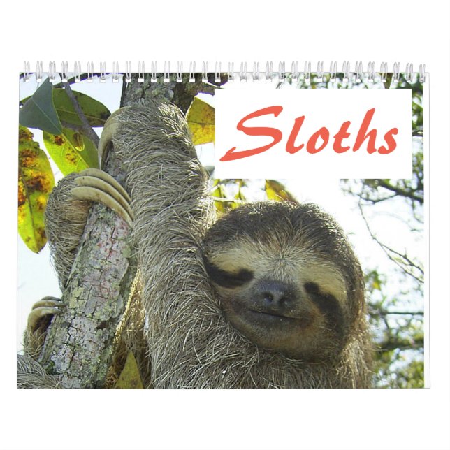 Calendario Cute Sloth Pictures | Fotos eslovacas adorables (Tapa)
