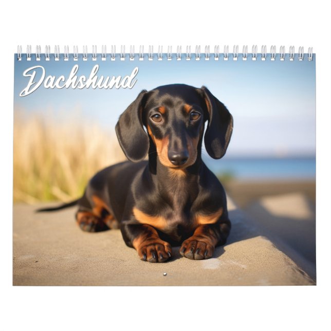 Calendario Dachshund (Tapa)
