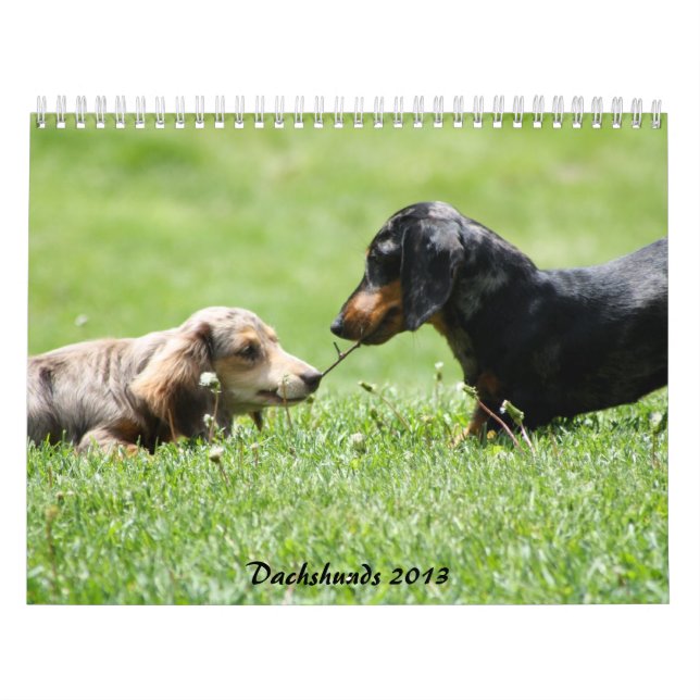 Calendario Dachshund 2013 (Tapa)