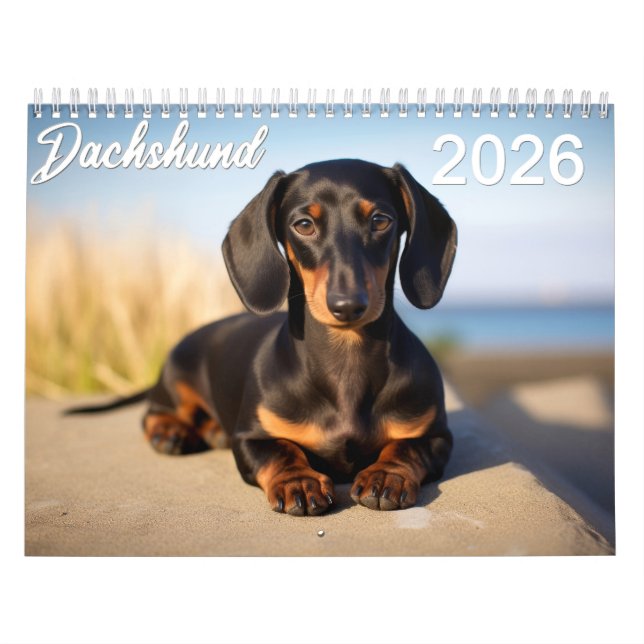 Calendario Dachshund 2026 (Tapa)
