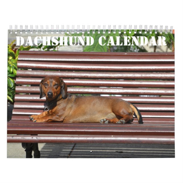 Calendario Dachshund 2026 Con Fotos (Tapa)