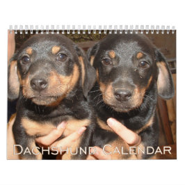 Calendario Dachshund 2026 Con Fotos
