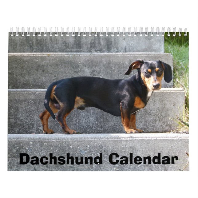 Calendario Dachshund Calendar 2023 Añadir tus fotos (Tapa)