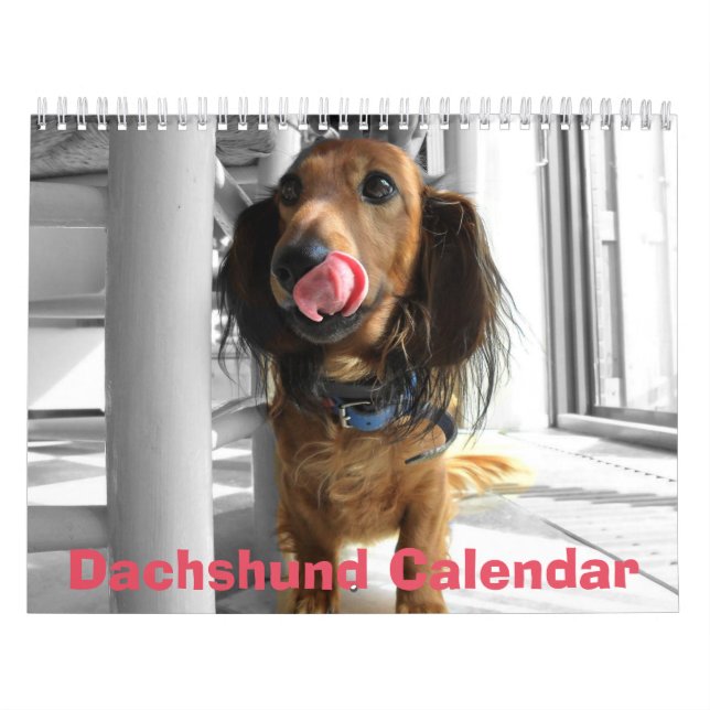 Calendario Dachshund Calendar 2026 Añadir tus fotos (Tapa)