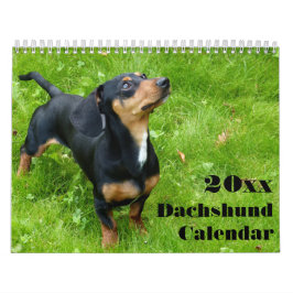 Calendario Dachshund Calendar 2026 Con Sus Fotos