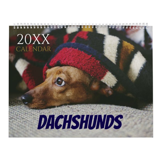Calendario Dachshund Calendar Dog 2026 Photo (Tapa)
