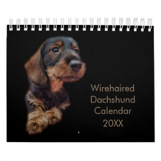 Calendario Dachshund con cable