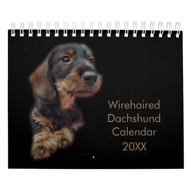 Calendario Dachshund con cable (Tapa)