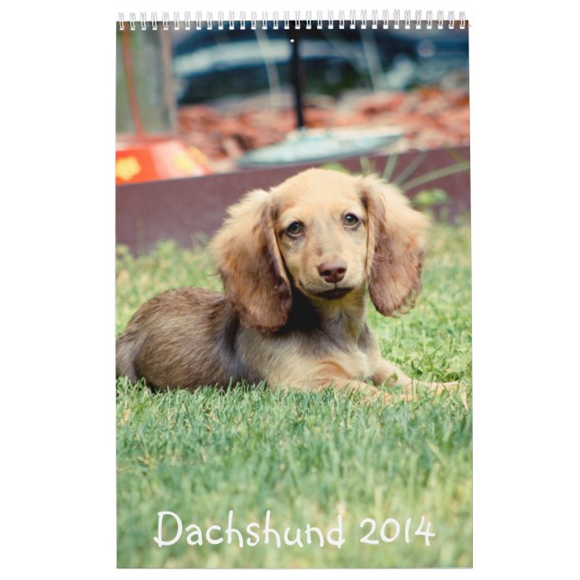 Calendario Dachshunds 2014 (Tapa)
