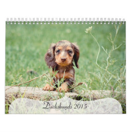 Calendario Dachshunds 2015