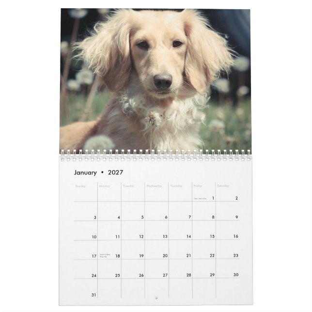 Calendario Dachshunds 2015 (Jan 2027)