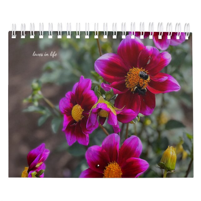 Calendario Dahlia (Tapa)
