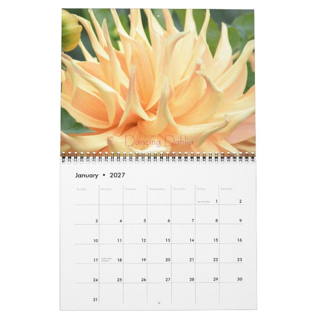 Calendario Dahlia Floral Fantasy 2014 Wall Calender (Jan 2027)