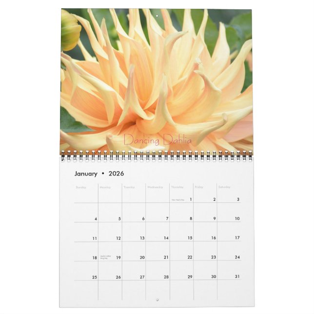 Calendario Dahlia Floral Fantasy 2014 Wall Calender (Jan 2026)