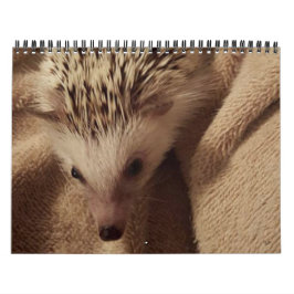Calendario ¡Dakota, trasto y amigos!