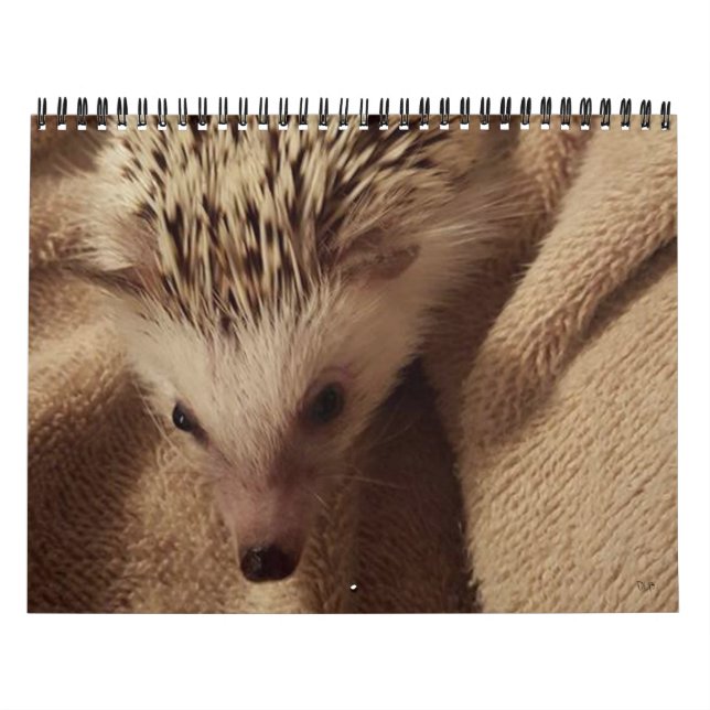 Calendario ¡Dakota, trasto y amigos! (Tapa)